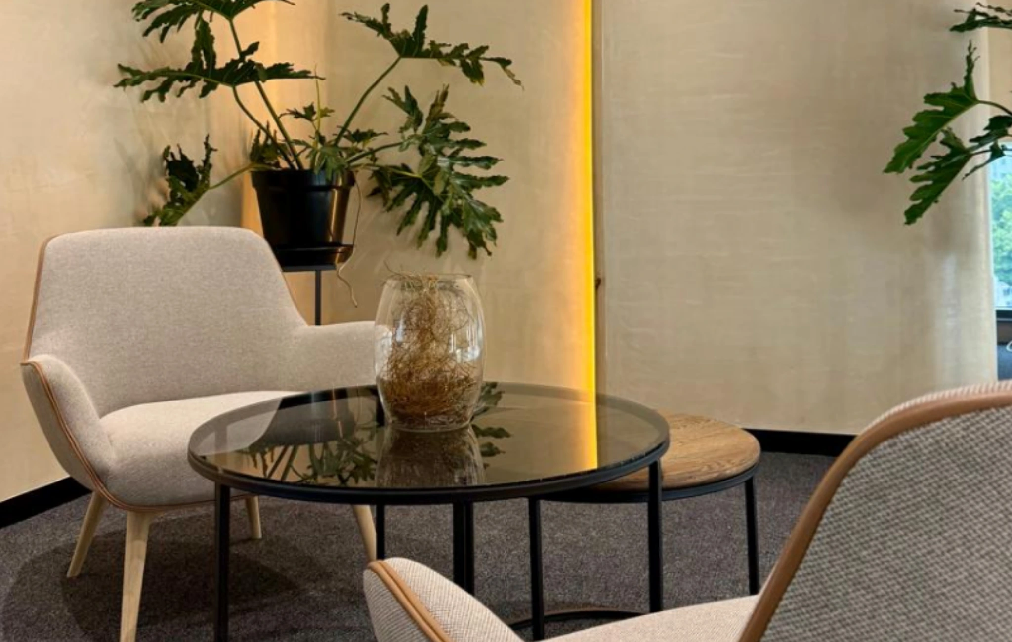 WellNest clinic consultation setting