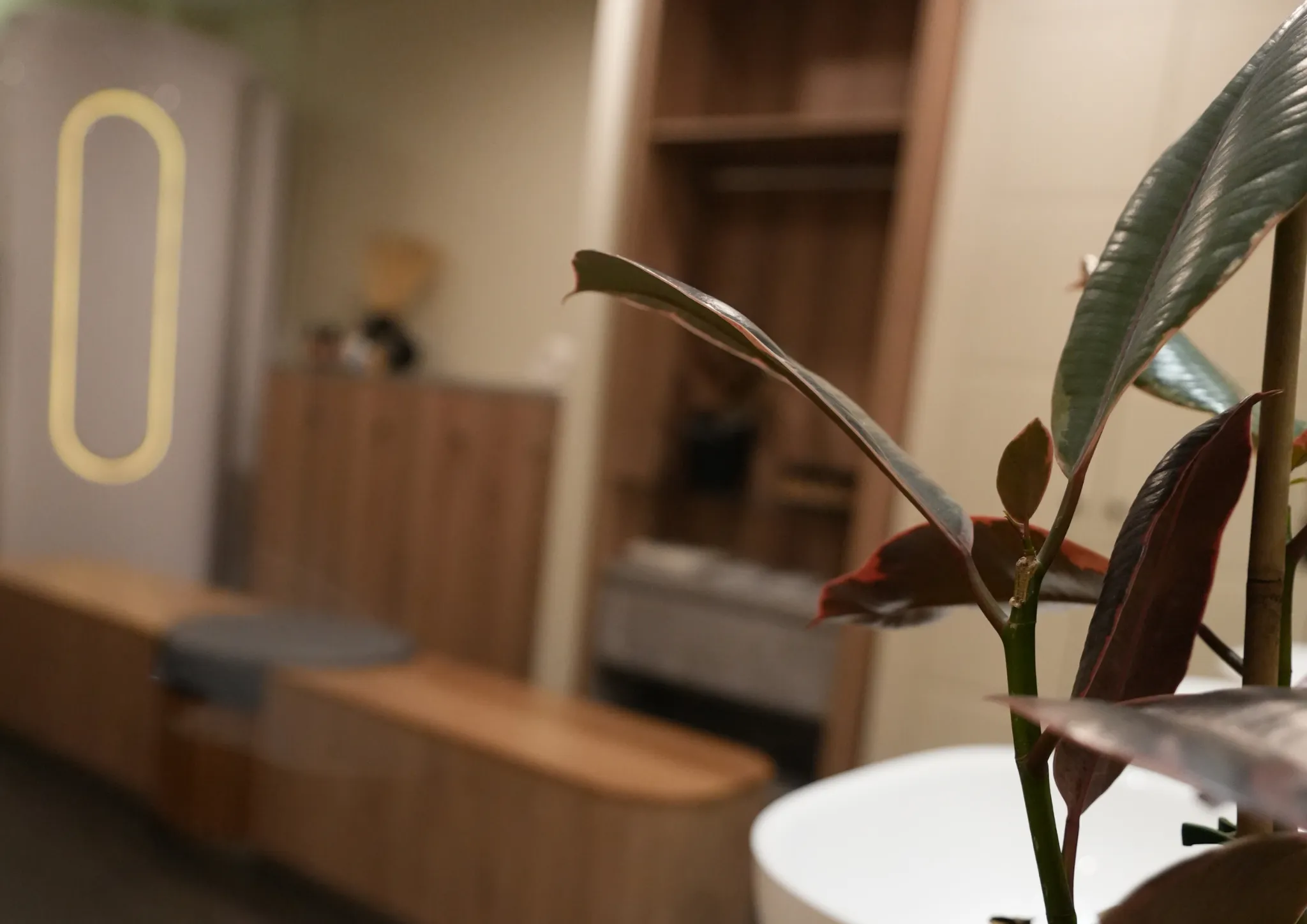 WellNest services hero