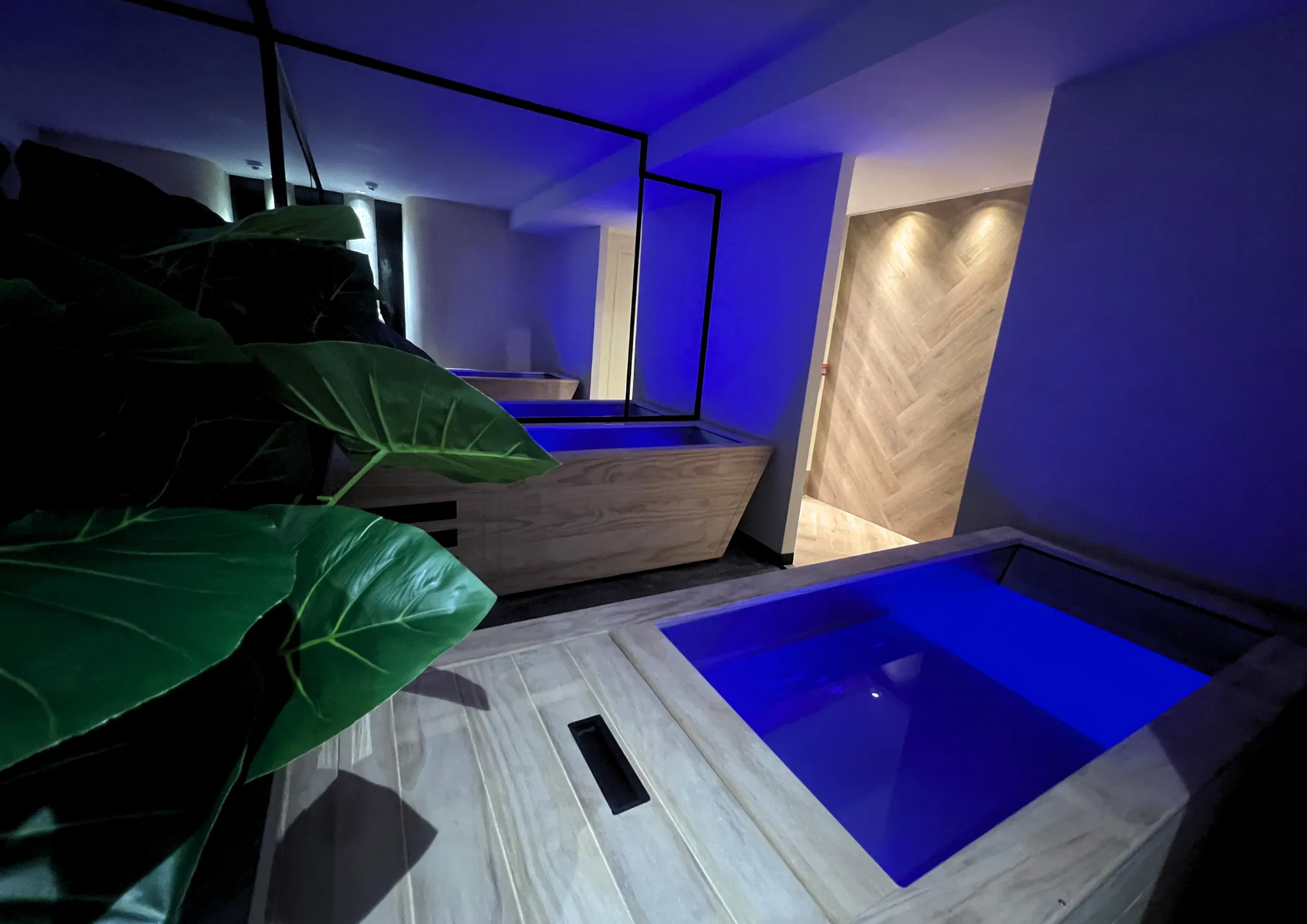 Gym Equipment Detail