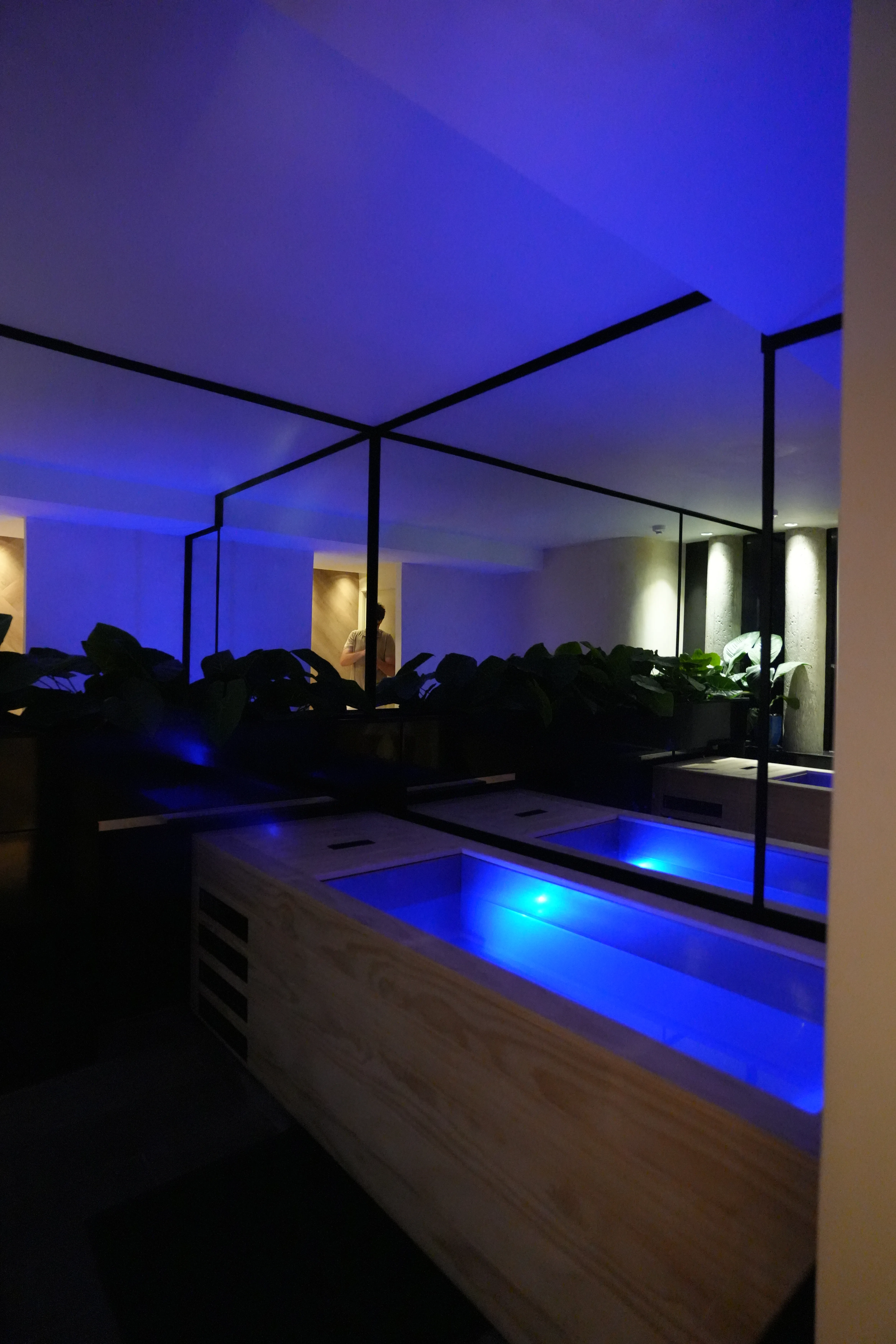 Ice Bath environment